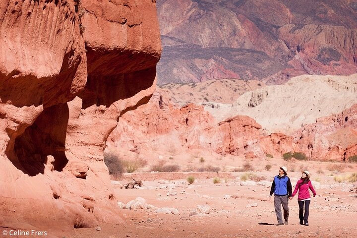 Cafayate, Vineyards and Calchaquies Valleys Tour from Salta - imagen #11