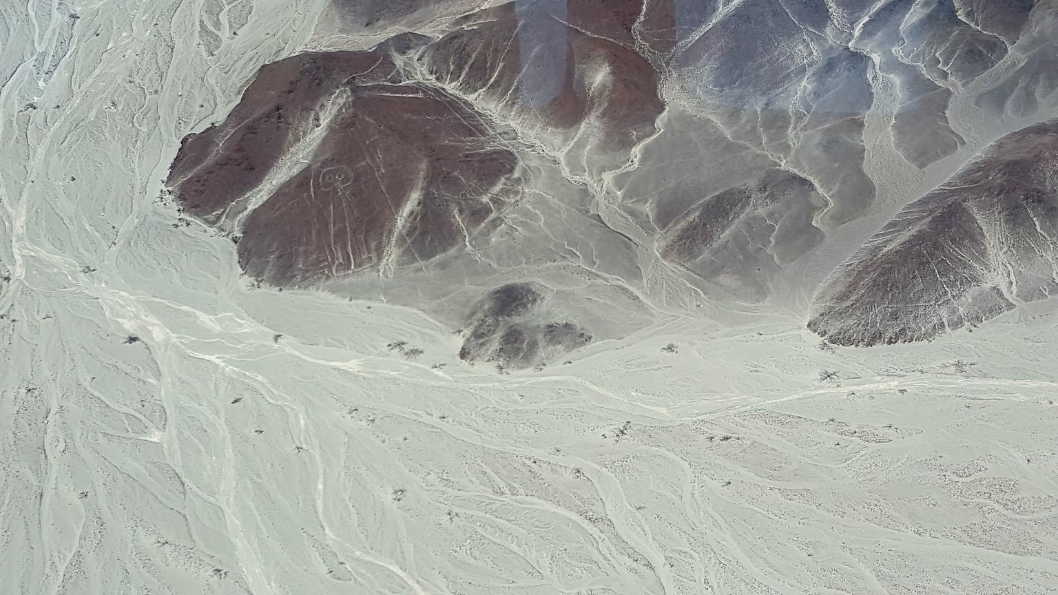Excursión de día completo a las Líneas de Nazca desde Lima (autobús y vuelo) - imagen #6