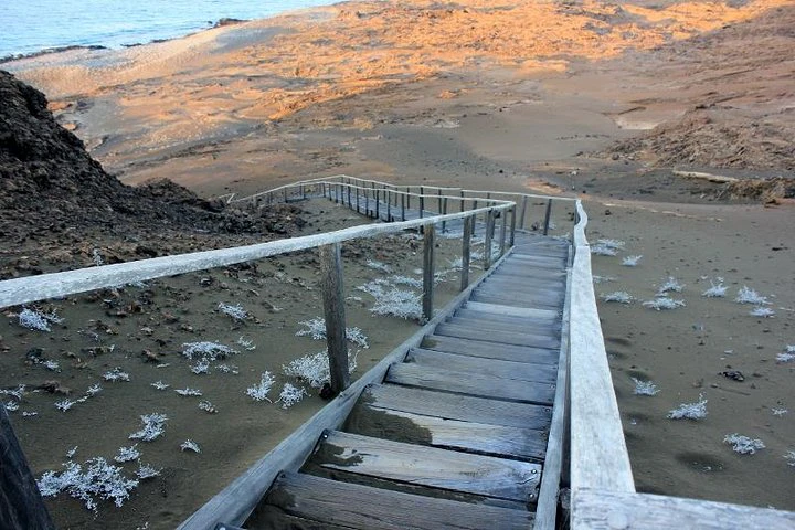 Excursión de día completo a la isla de Bartolomé y la bahía de Sullivan - imagen #3