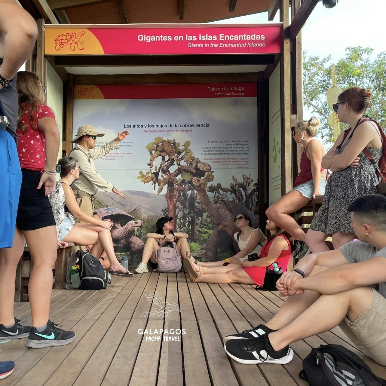 5 day / Sta. Cruz Highlands & C. Darwin RS, Bartolome, N. Seymour - imagen #24