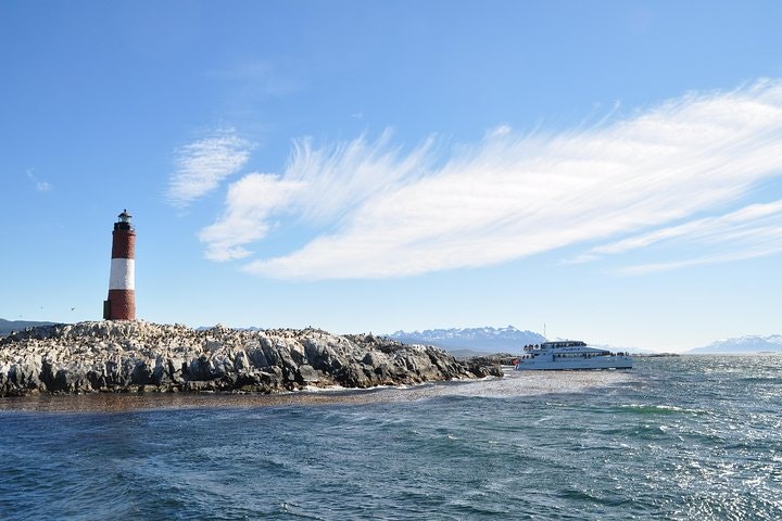 Martillo Island: Boat Trip to the Penguin Colony & Beagle Channel - imagen #3