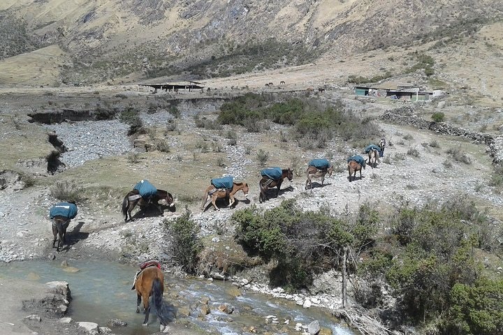 Trekking de 5 días por el Salkantay y los picos nevados hasta Machu Picchu desde Cusco - imagen #3