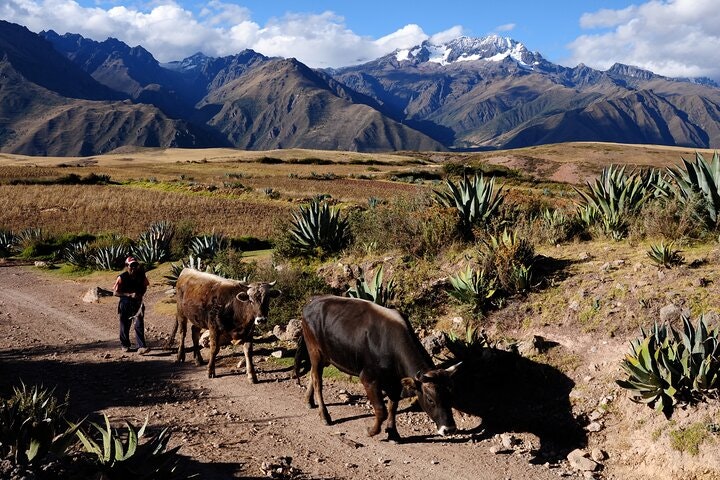 7-Day New Dawn in Machu Picchu: Lima, Cusco & Sacred Valley - imagen #18