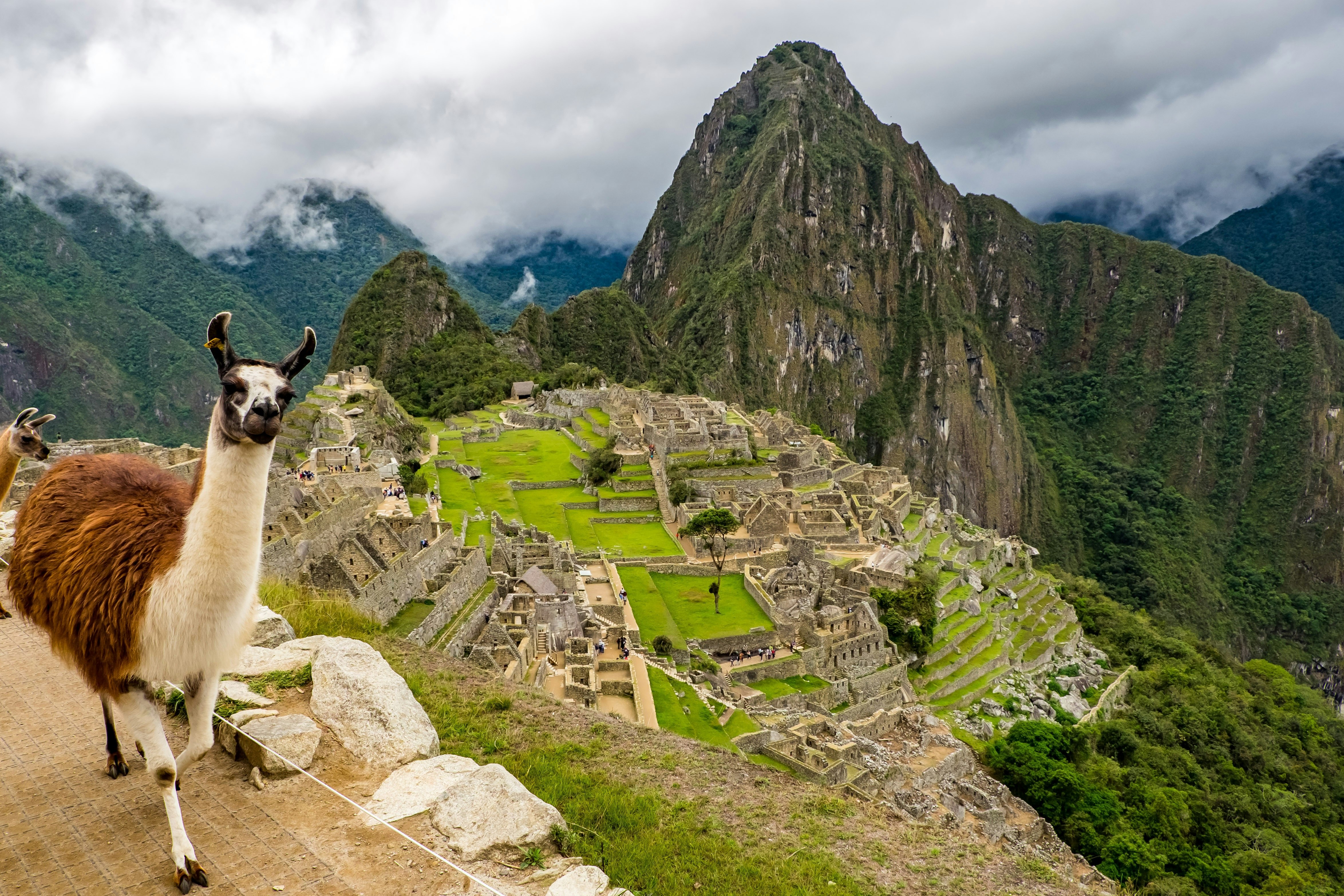 Cus-02 : Machu Picchu Express - The Wonder of Peru - imagen #10