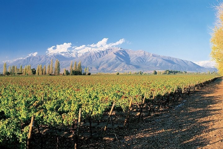7-Days Unique Experience visiting the best Chilean & Argentinean Wine Valleys! - imagen #7