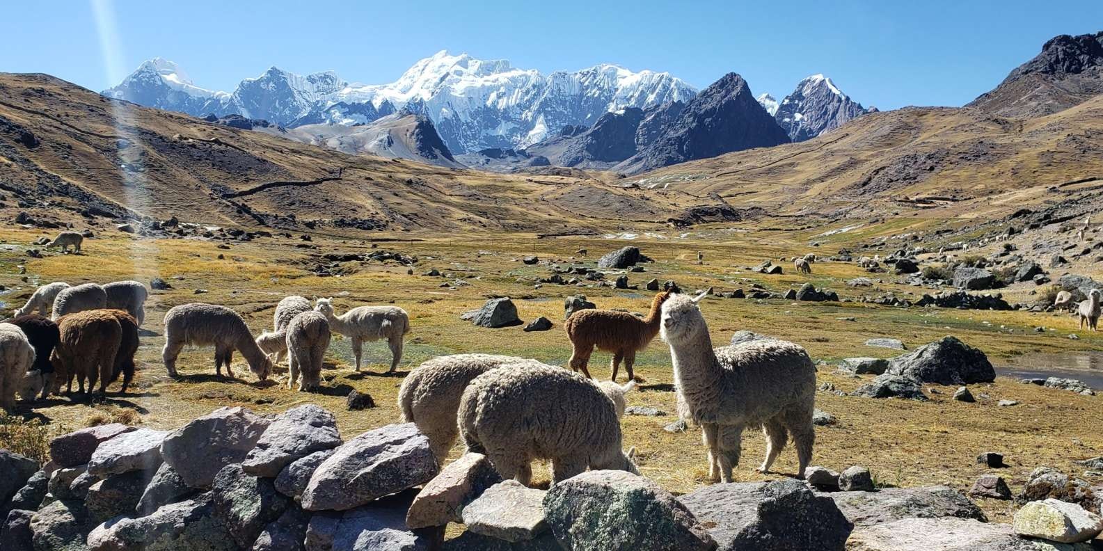 Cus-14 : Ausangate s Hike - Seven Glacial Lakes - Full Day - imagen #8