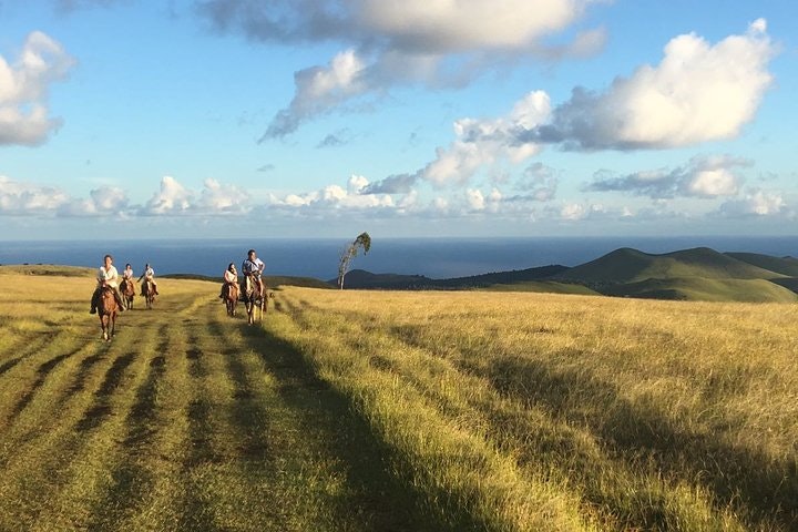 7-Day Santiago & Easter Island Tour - imagen #9