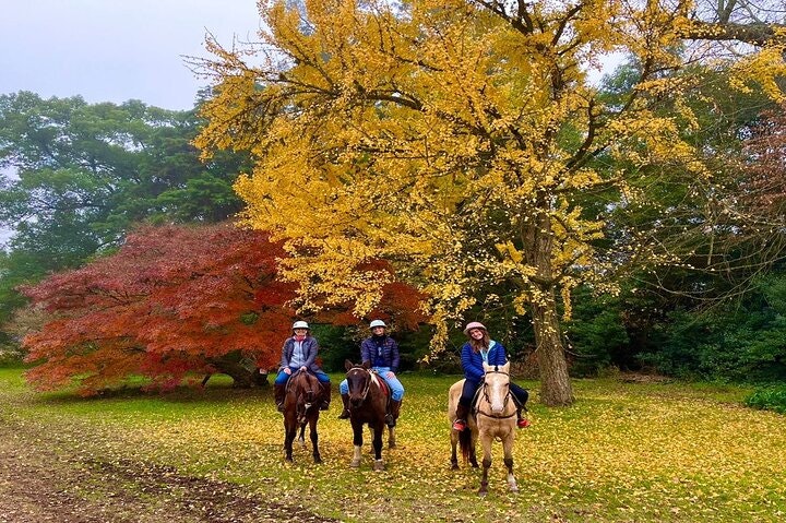 Polo Lesson Experience at Villa Maria with Argentinean Barbecue - imagen #10