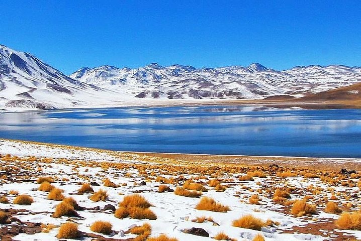San Pedro de Atacama, Altiplanic Lagoons and Piedras Rojas - Full day - imagen #7