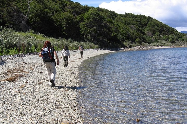 Half-Day Small-Group Tierra del Fuego National Park Tour - imagen #17