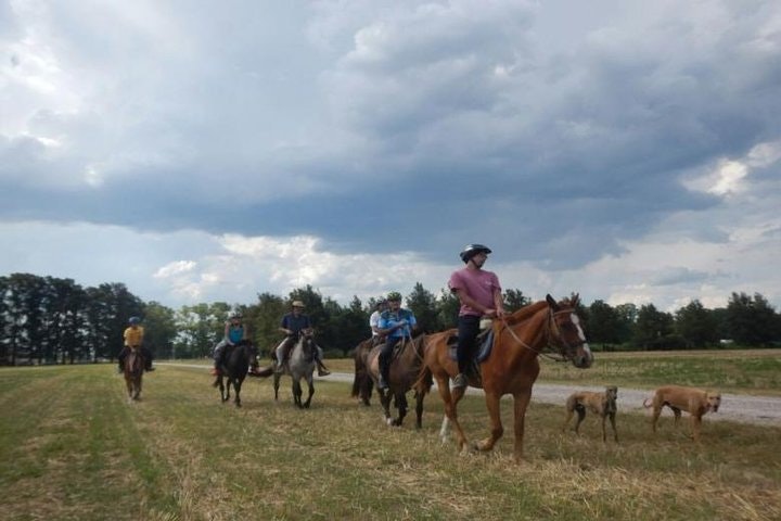 4-Day Adventure Trip in Buenos Aires - imagen #4