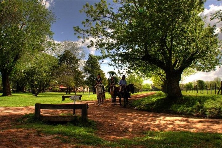 Gaucho Small-Group Full Day at a Farm in Buenos Aires - imagen #12