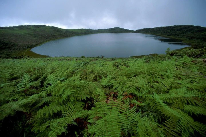 Galápagos: 4 días explorando la isla de San Cristóbal - imagen #9