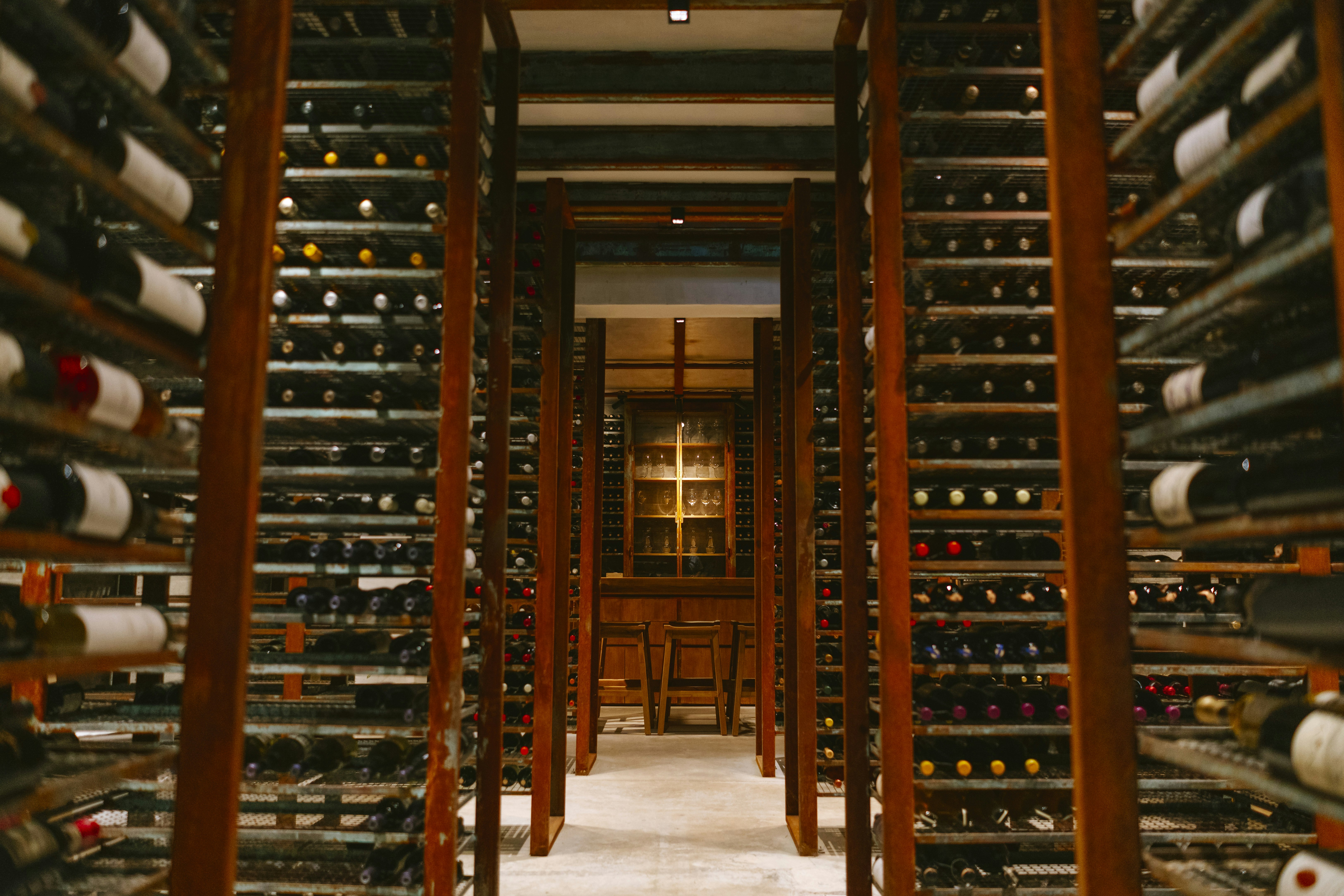 3-Day Mendoza Enchanted Vine Retreat With Optional Airfare - imagen #3