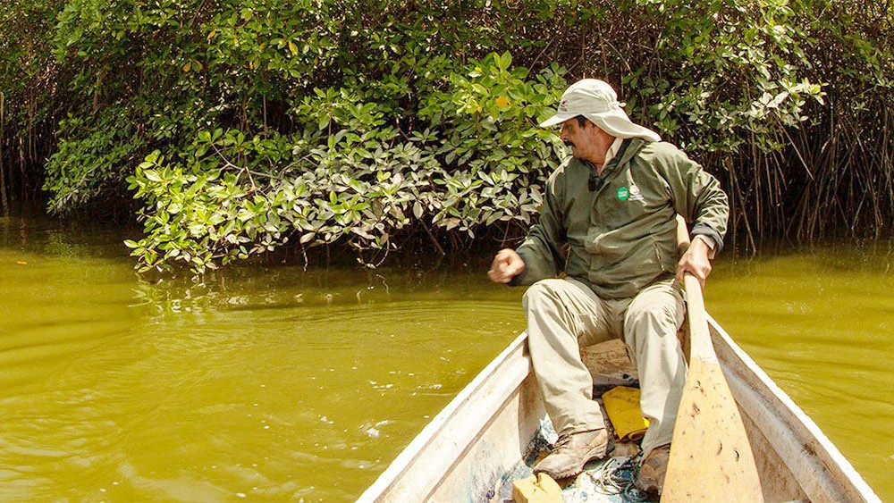 Excursión de un día en canoa por los manglares de Churute - imagen #2