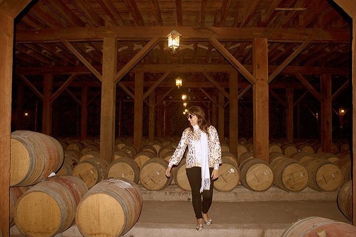 Half Day Trip to Santa Rita Vineyard from Santiago - Wine Tasting Included - imagen #6