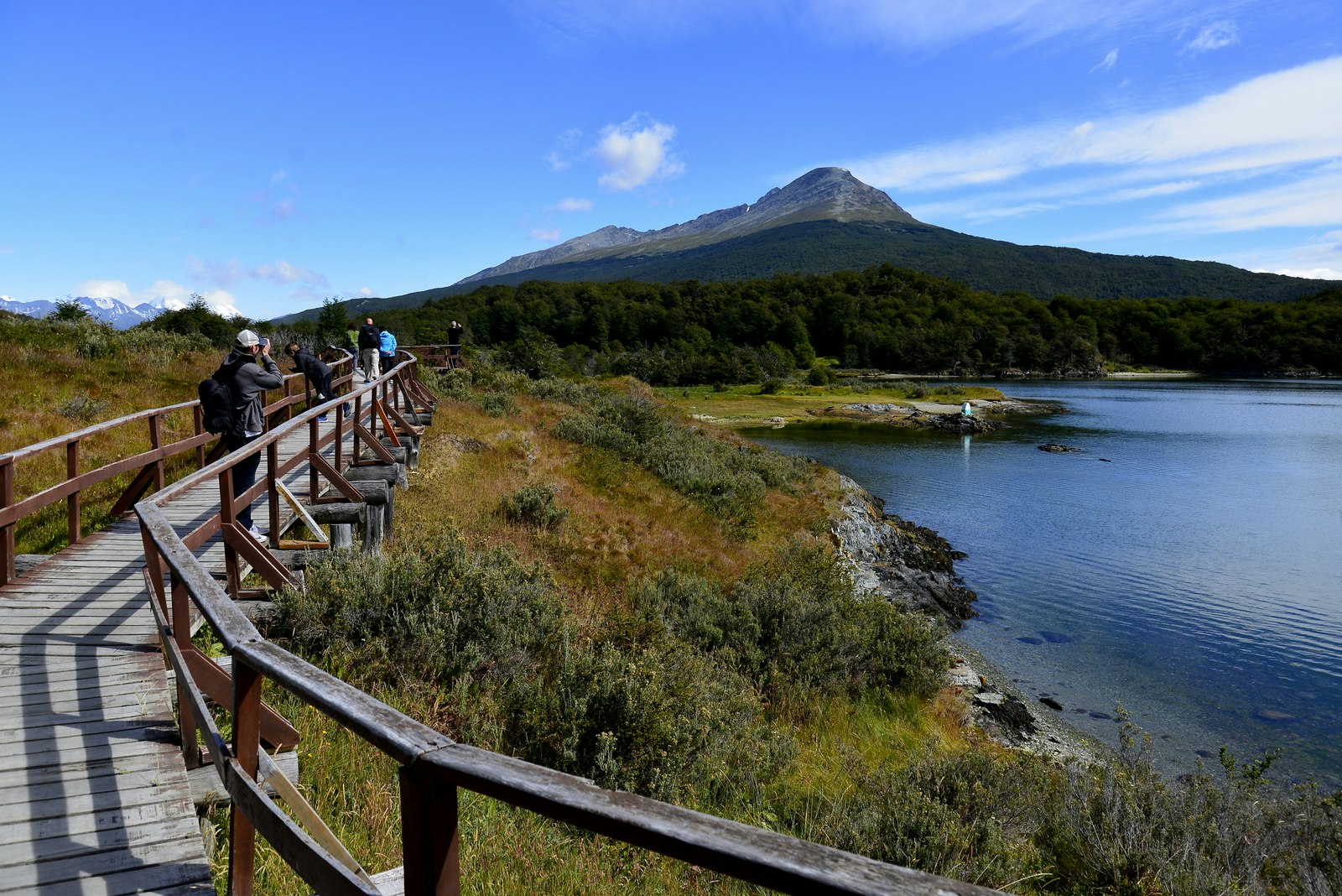 Tierra del Fuego National Park Private Half-Day Trip - imagen #4