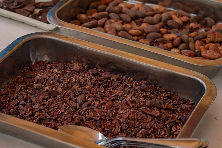 Cacao Farm Excursion Day Trip from Guayaquil - imagen #14