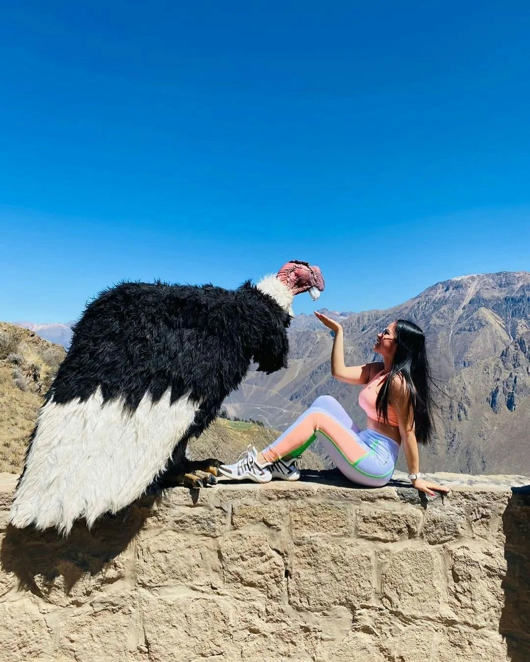 Are-03 : Colca Canyon 2D/1N Adventure - imagen #10