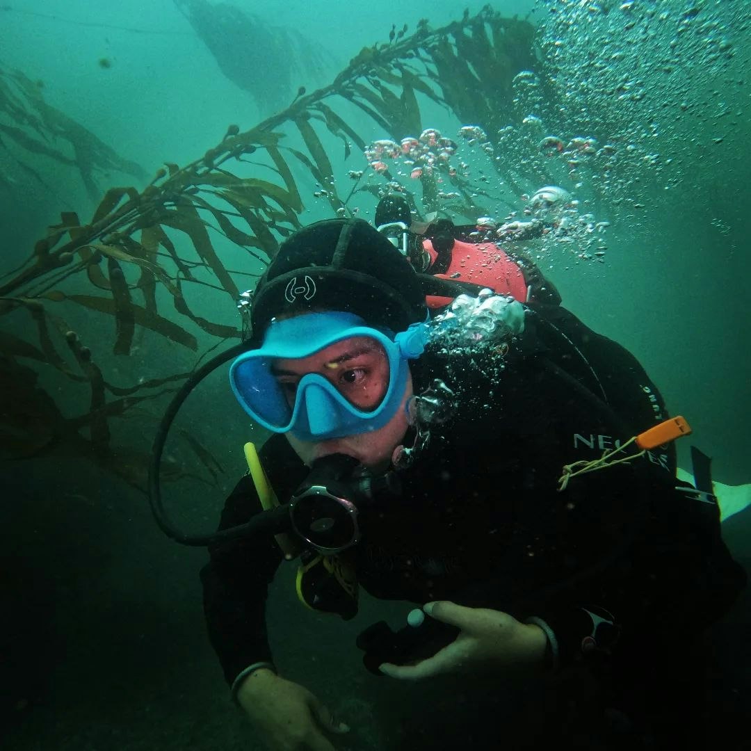 Par-06 : Scuba Diving in Paracas - Dive Discovery - imagen #8