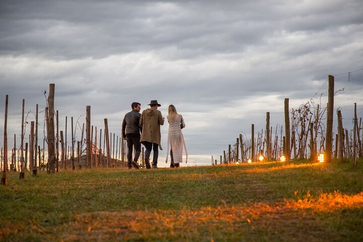 Bodega Gamboa Small-Group Wine Tasting Tour with Lunch - imagen #10