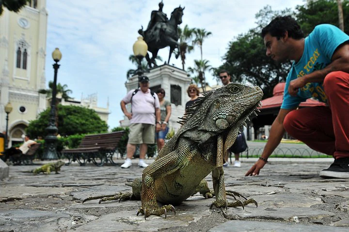 Private Guayaquil City Tour and Parque Historico - imagen #12