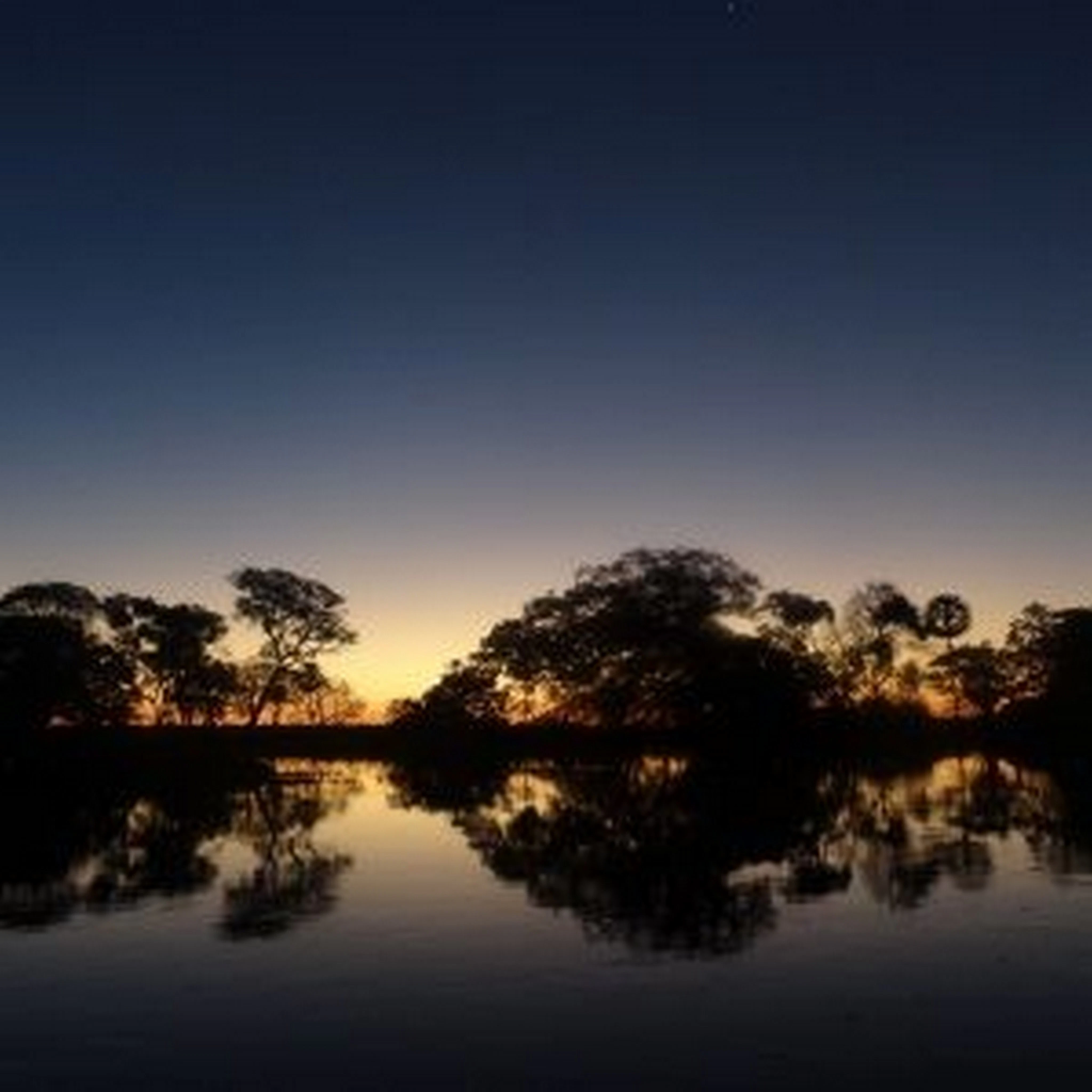 BO-RUR-04: Rurrenabaque | Selva y pampas, 5 días/4 noches: Descubriendo la naturaleza salvaje de la selva amazónica - imagen #13
