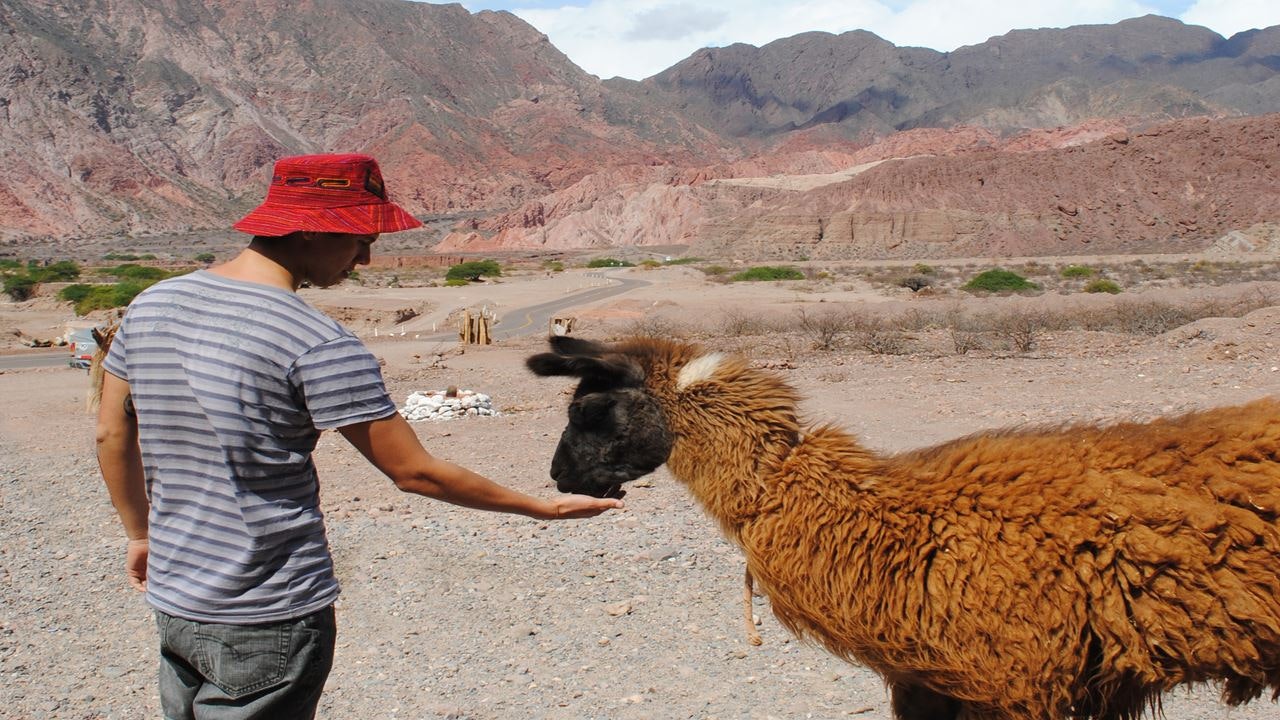 Cafayate, Vineyards and Calchaquies Valleys Tour from Salta - imagen #18