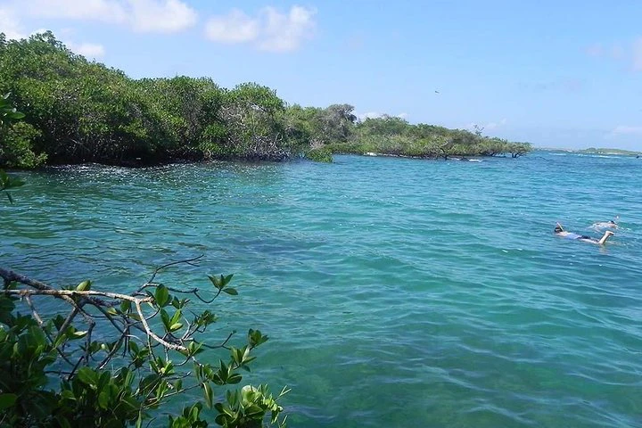 Excursión de SNORKELING a la bahía de Concha Perla, en la isla de Isabela - imagen #2