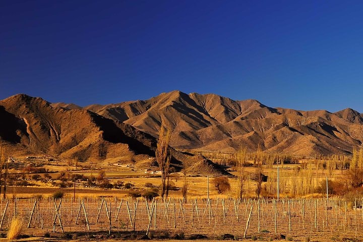 Cachi Full Day Tour from Salta - imagen #3