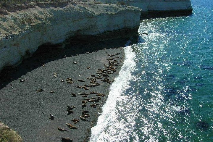 City Tour and Sea Lions at Punta Loma from Puerto Madryn - imagen #3