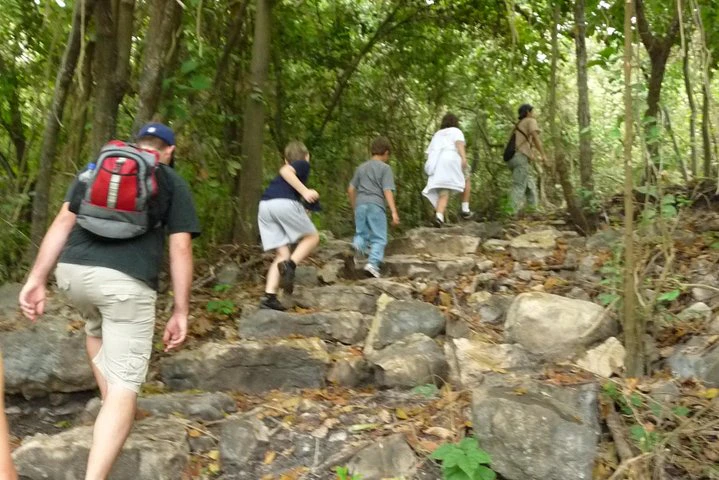 Birdwatching in Cerro Blanco from Guayaquil - imagen #3