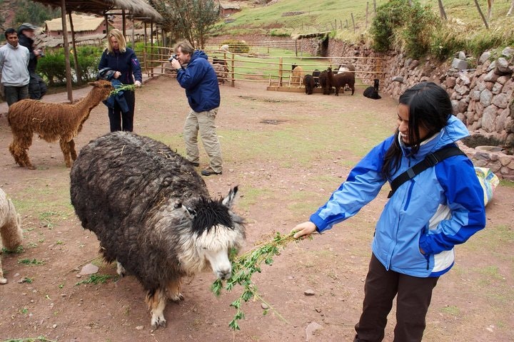6-Days Exploring Cusco, Sacred Valley & Machu Picchu - imagen #10