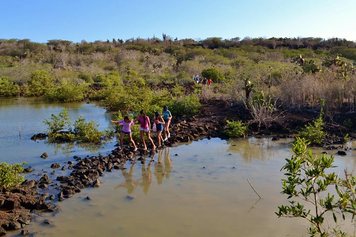 Recorrido por la bahía de Santa Cruz - Islas Galápagos - imagen #7