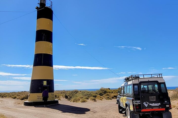 Full Day Tour to Punta Ninfas from Puerto Madryn - imagen #9