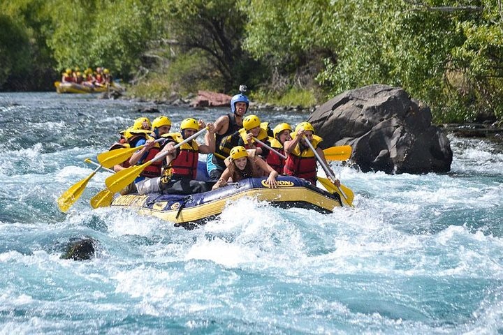 Chimehuin River Rafting from San Martin de los Andes - imagen #4