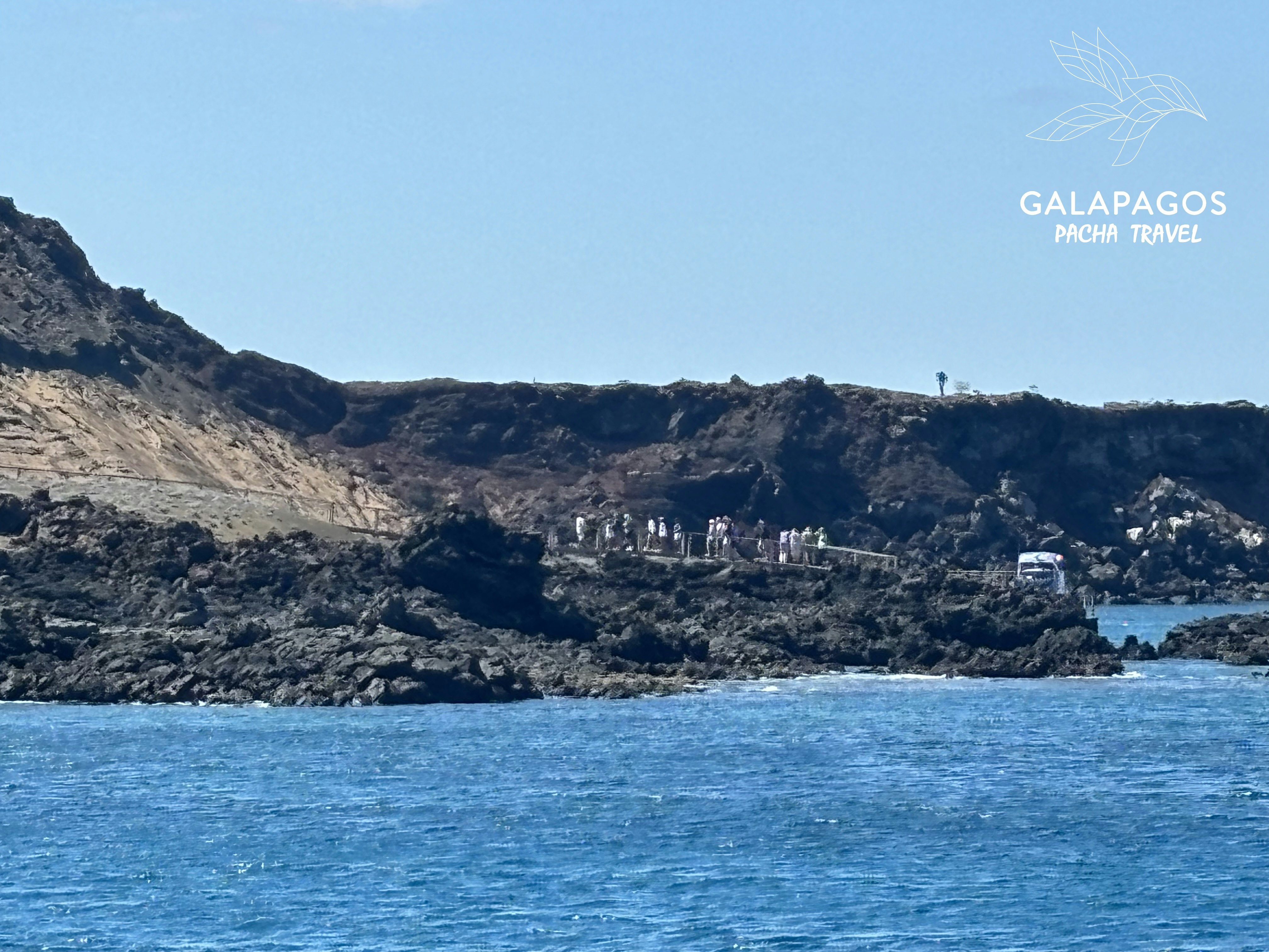 5 day / Sta. Cruz Highlands & C. Darwin RS, Bartolome, N. Seymour - imagen #2