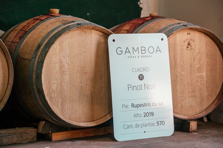 Bodega Gamboa Small-Group Wine Tasting Tour with Lunch - imagen #16