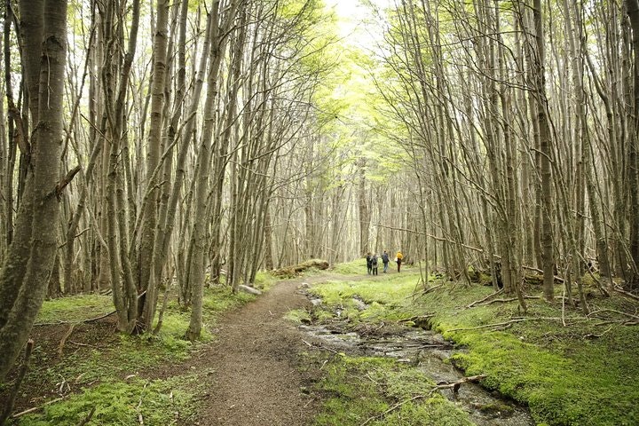 4-Days and 3 Nights Discovery Ushuaia with Airfare from Buenos Aires - imagen #9