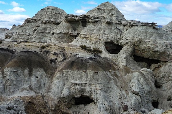 La Leona Petrified Forest Hiking Tour from El Calafate - imagen #5