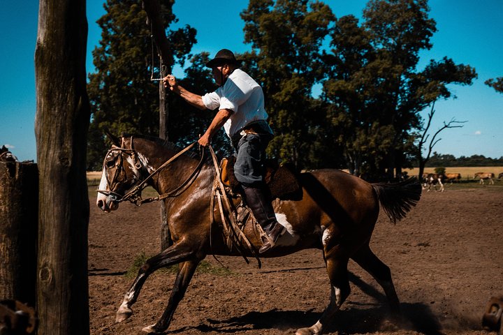 Gaucho Day Trip from Buenos Aires: Santa Susana Ranch