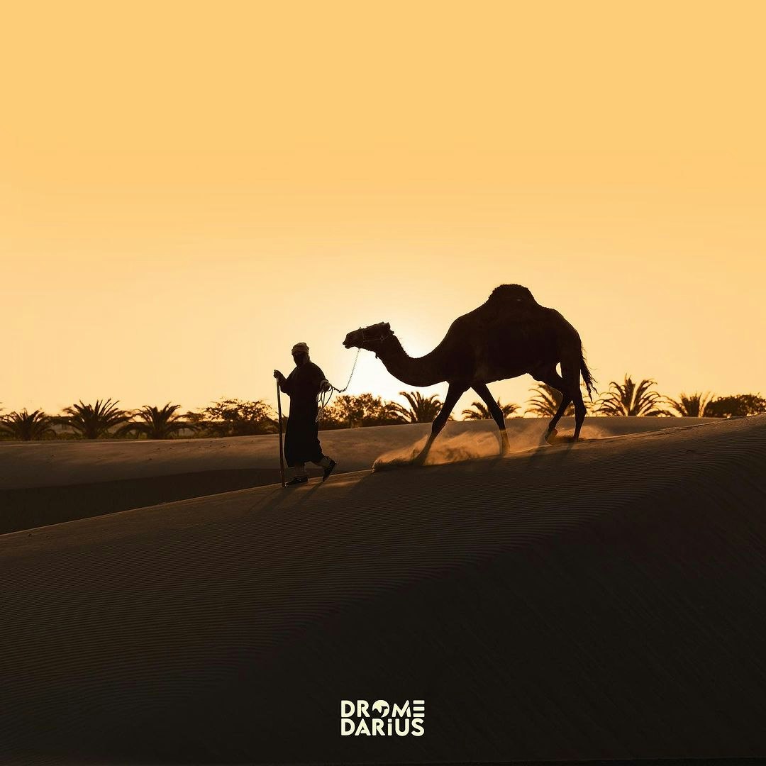 Ica-04 : Camel Ride - Unforgettable Desert Experience - imagen #10