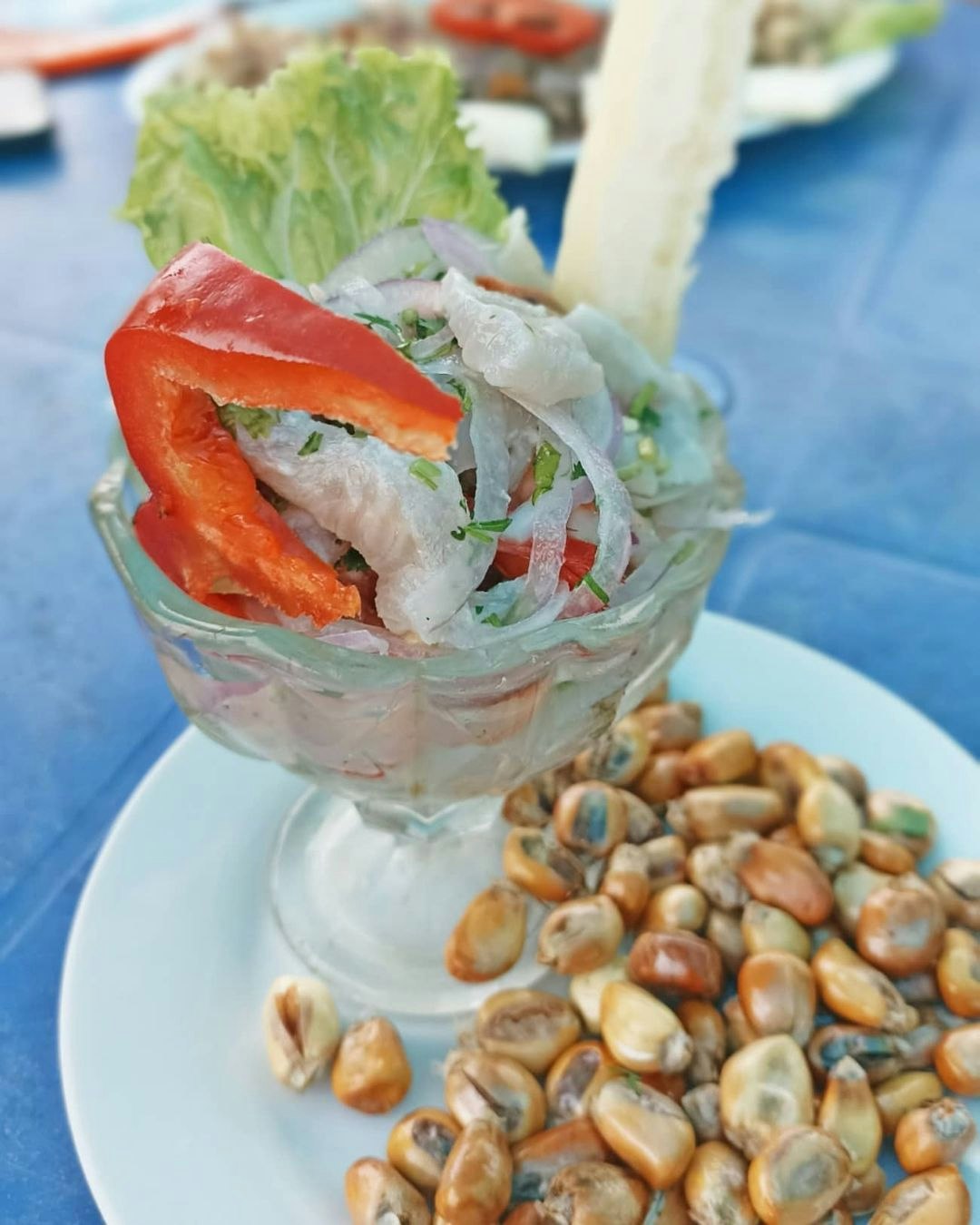 Tum-01 : Mangrove Marvels - Puerto Pizarro and Islands Tour - imagen #10