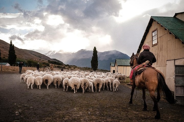 Nibepo Aike Ranch Day and Horseback Riding from el Calafate - imagen #2