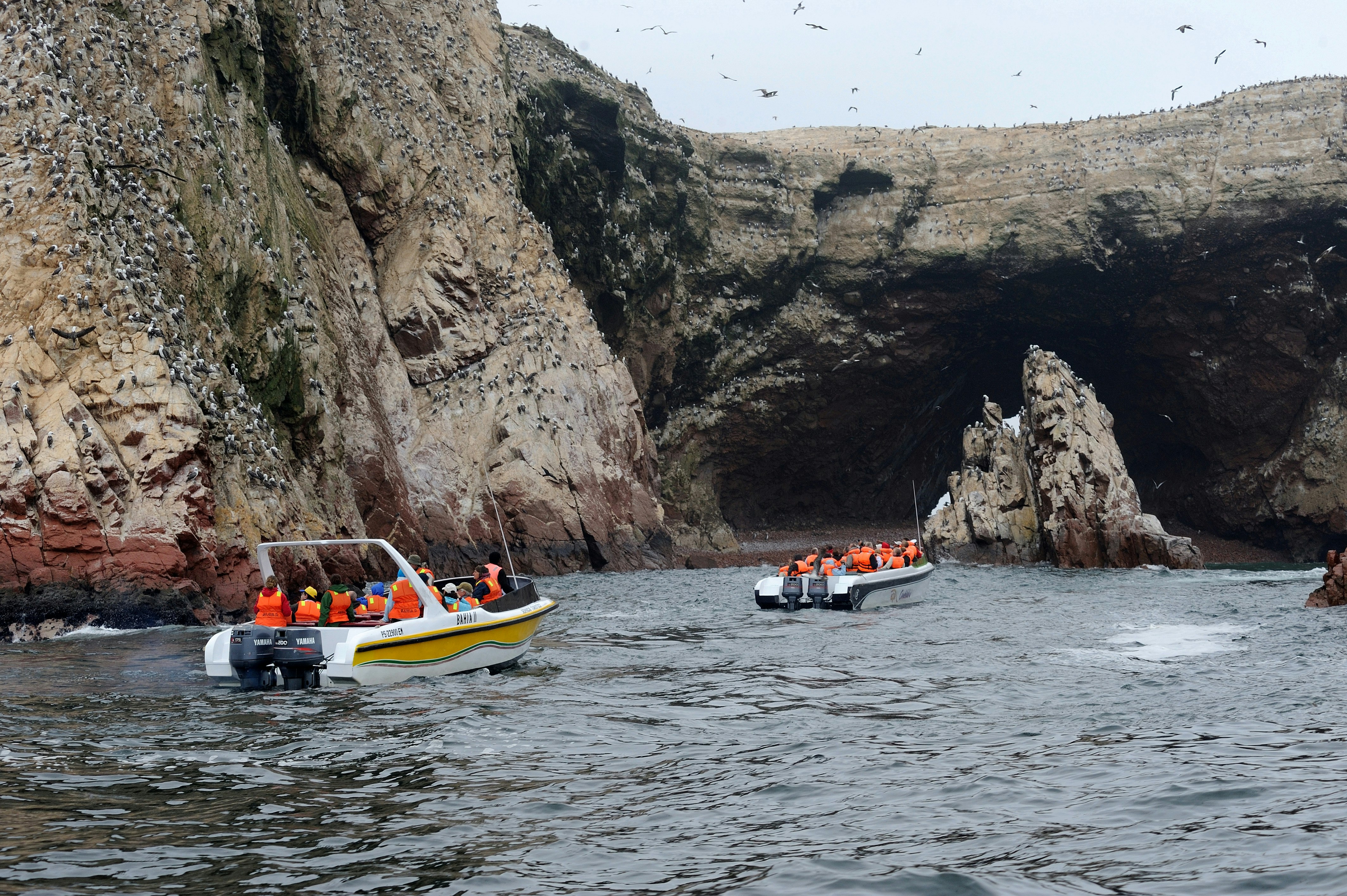 Nazca Lines & Ballestas Islands Private Full Day Tour from Lima - imagen #10