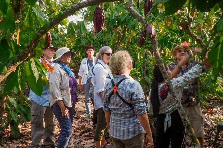 Churute Mangrove Ecological Reserve and Cocoa Farm - imagen #2