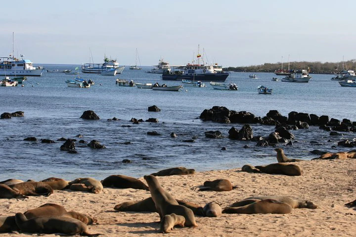 Excursión de día completo a la isla de Pinzón para practicar snorkel y pescar - imagen #4