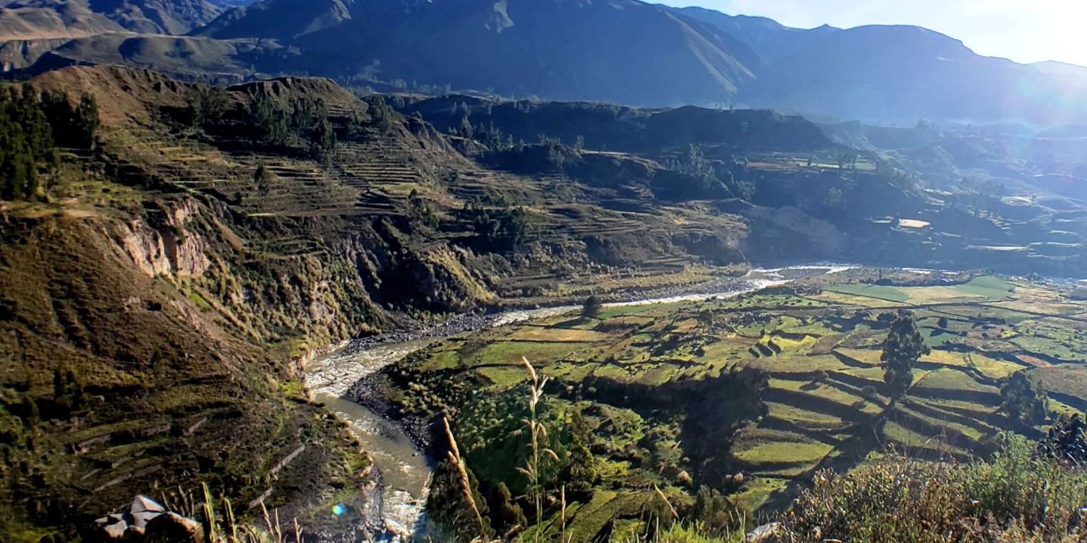 Are-02 : Colca Canyon Day Tour - imagen #3