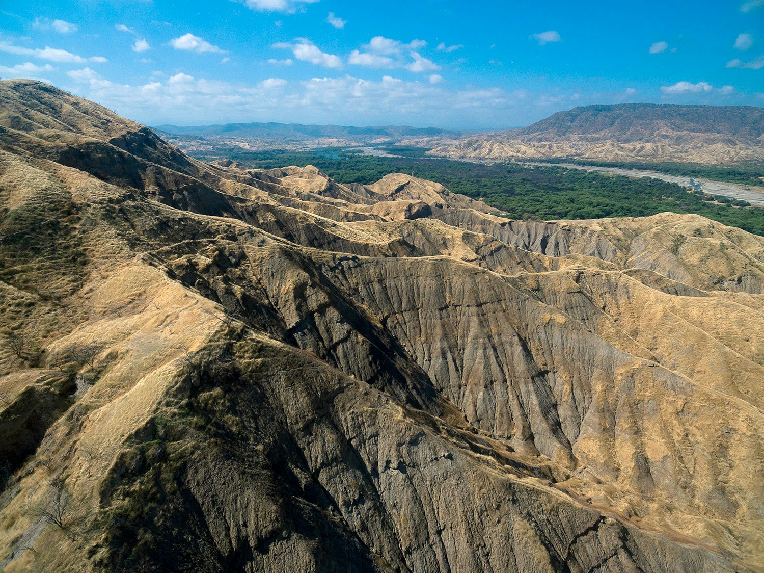 Tum-03 : Cerros de Amotape National Park - Into the Wild - imagen #3