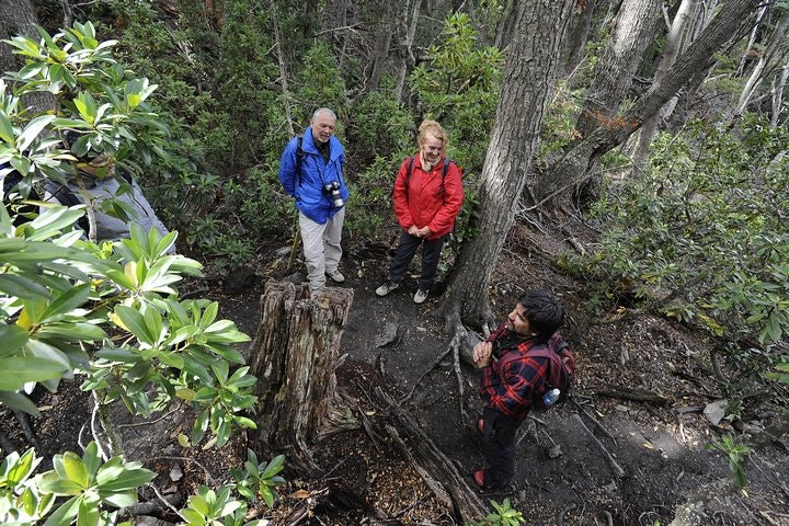 Tierra del Fuego National Park Hike and Canoe Tour - imagen #6
